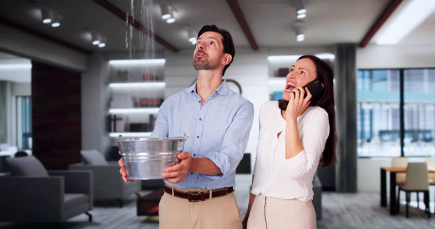 Best Basement water damage restoration  in Rockcreek, OR